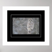 Poster Poster-Owl (Devant)