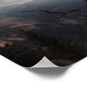 Poster Poster-Owl (Coin)