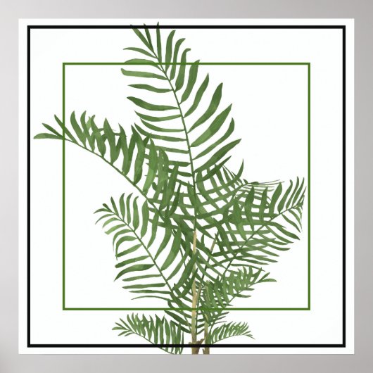 Poster Poster-Palm 24" x 24" (Devant)