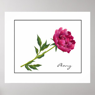 Poster Poster-Peony