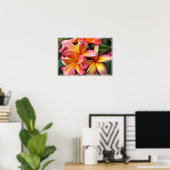 Poster Poster-Plumeria Fleurs (Bureau à domicile)
