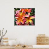 Poster Poster-Plumeria Fleurs (Cuisine)