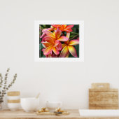 Poster Poster-Plumeria Fleurs (Cuisine)