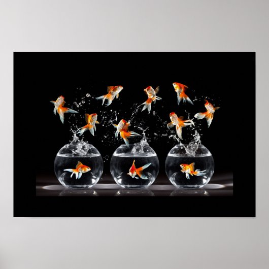 Poster Poster-Poster-Goldfish (Devant)