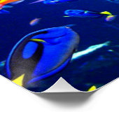 Poster Poster Poster Poster Poster Plage Poster (Coin)