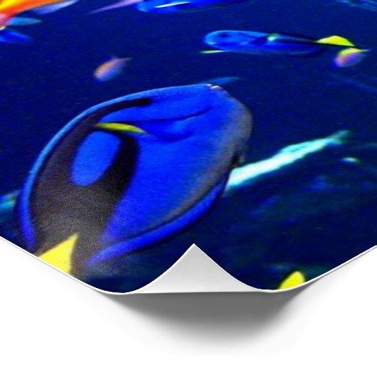 Poster Poster Poster Poster Poster Plage Poster (Coin)