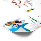 Poster Poster Poster Poster Poster Plage Poster (Coin)