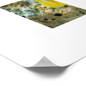 Poster Poster-Poster-Tropical (Coin)