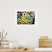 Poster Poster-Poster-Tropical (Cuisine)