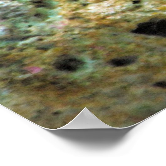 Poster Poster-Poster-Tropical (Coin)