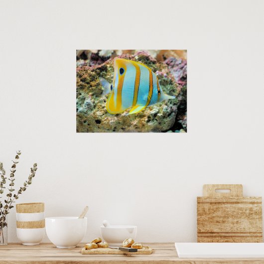 Poster Poster-Poster-Tropical (Cuisine)