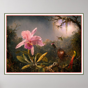 Poster Poster/Print: Cattleya Orchid & Three Hummingbirds