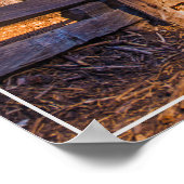 Poster Poster-Redwoods (Coin)