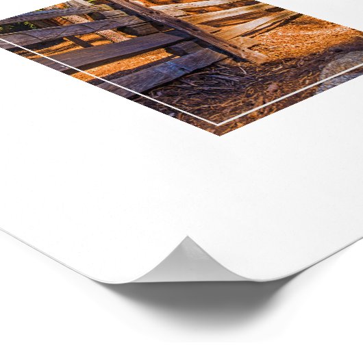 Poster Poster-Redwoods (Coin)