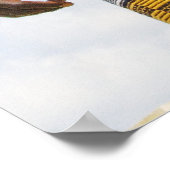 Poster Poster, Regal African (Coin)