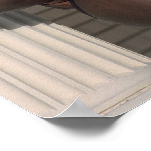 Poster Poster, Scutt at Columns (Coin)