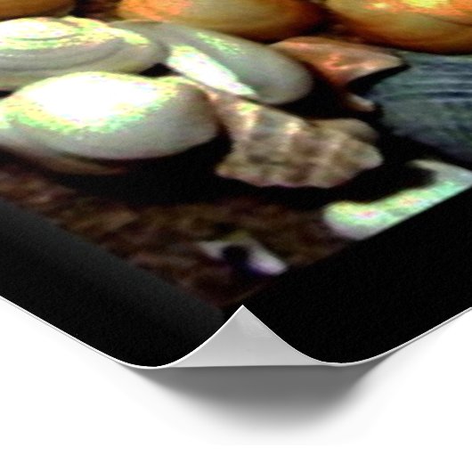 Poster Poster_Seashell_par Elenne Boothe (Coin)