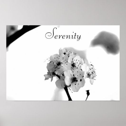 Poster Poster-Serenity (Devant)