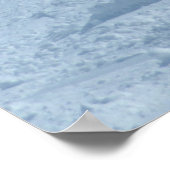 Poster Poster, Shred Gnar Ski Cat (Coin)