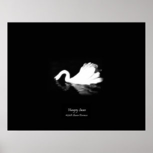 Poster Poster, Swan affamé, Noir & Blanc, Photographie