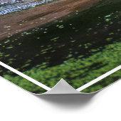 Poster Poster-Tiger (Coin)