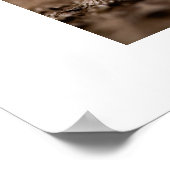 Poster Poster/toile de balance (Coin)