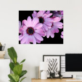 Poster Poster, Trois Marguerites Violettes (Bureau à domicile)