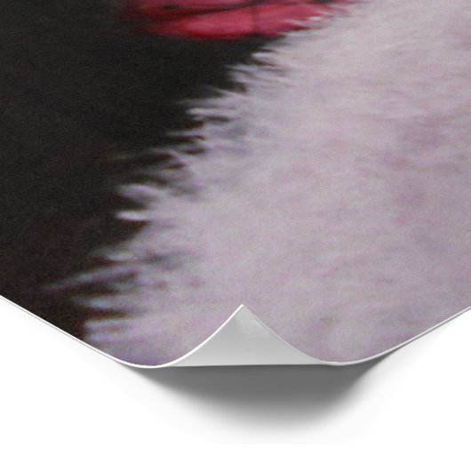 Poster Poster/Une dame d'intrigue (Coin)