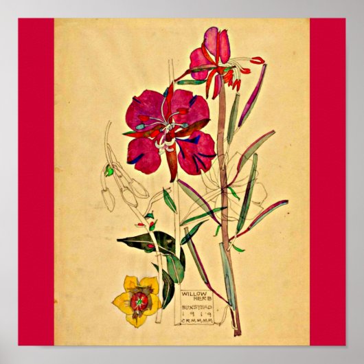 Poster Poster-Vintage-Charles Rennie Mackintosh 28 (Devant)