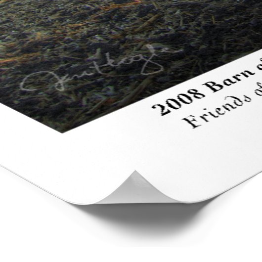 Poster Poster, Zuelch (Coin)