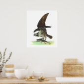 Poster Posters/Impression : Osprey - John Audubon (Cuisine)