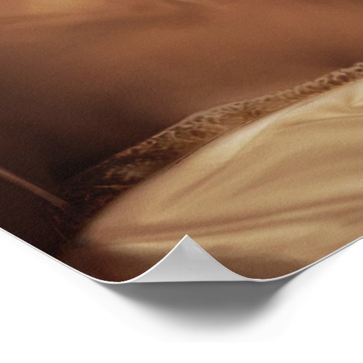 Poster Postes (Coin)