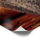 POSTER POSTES CABINES DE JOURNAL DE L'OURS GRIZZLY (Coin)