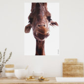 POSTER POSTES COLOSSAL - VISAGE GIRAFFE - PHOTO HUMOUR (Cuisine)