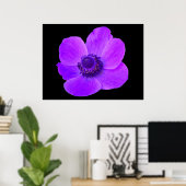 Poster Postuler d'anémone violet (Bureau à domicile)
