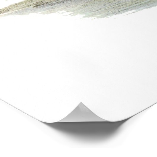 Poster Pot-bec rose, John Audubon (Coin)