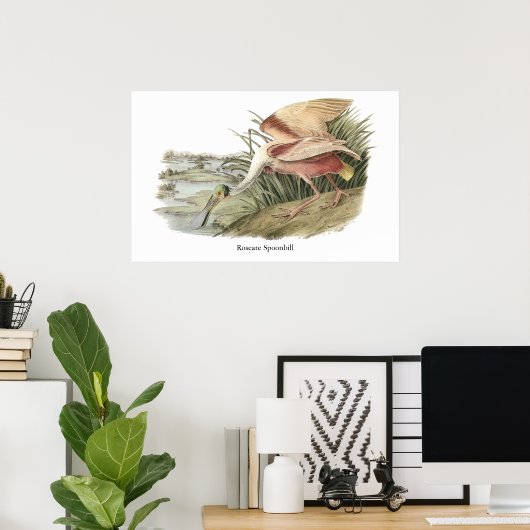 Poster Pot-bec rose, John Audubon (Bureau à domicile)