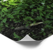 Poster Pot d'ail (Coin)