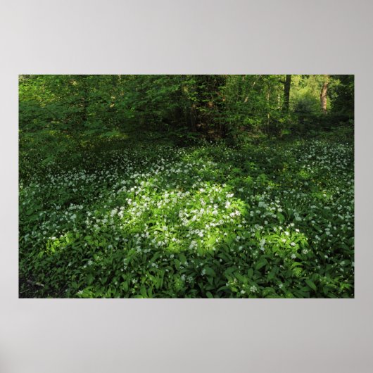 Poster Pot d'ail (Devant)