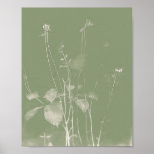 Poster Pot de fleurs vert Fleur sauvage Cyanotype 1