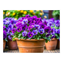 Pot de fleurs violet charmant