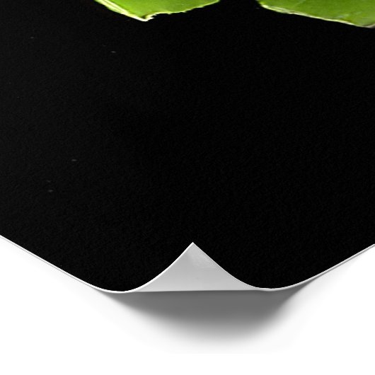 Poster Pot de pois (Coin)