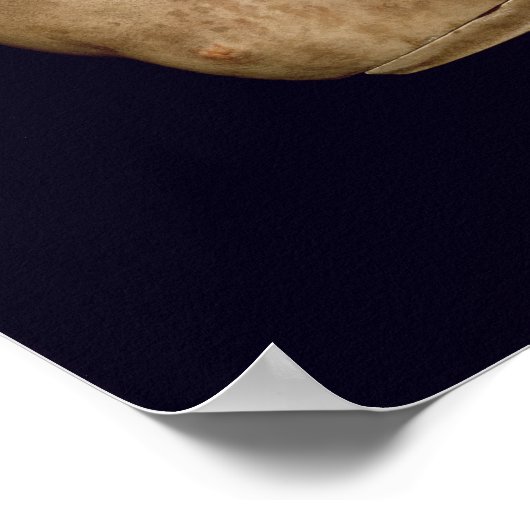 Poster Pot de portrait de l'empereur Trajan (Coin)