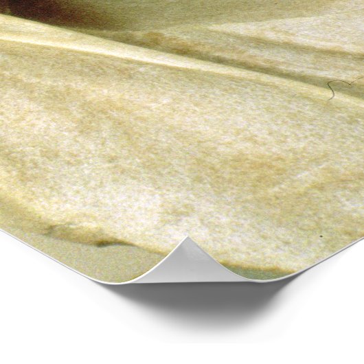 Poster Pot de portrait de Marcus Aurelius (Coin)