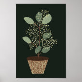 Poster Pot vert plante eucalyptus feuilles graines terrac (Devant)