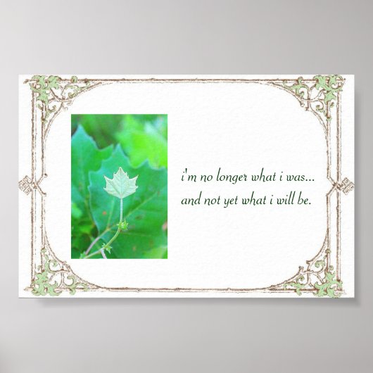 Poster Potentiel (Devant)