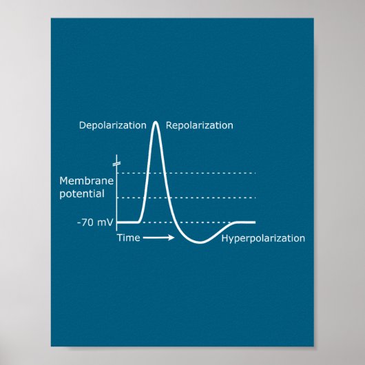 Poster Potentiel d'action Neuroscience Neurotransmetteur (Devant)