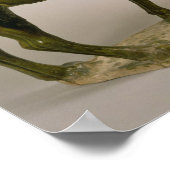 Poster Poterie chameau chinois à voile (Coin)