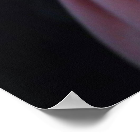 Poster Potrait (Coin)