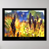 Poster Pots de semences (Devant)